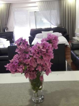 Апартаменты Apartments DZAN Улцинь Апартаменты-студио с видом на море-9